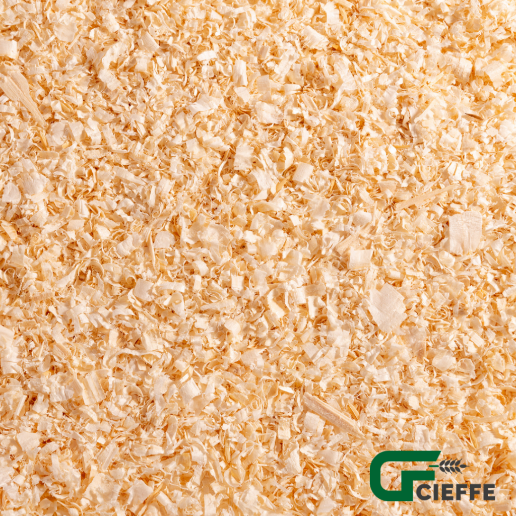 Trucioli di Legno - Cieffe